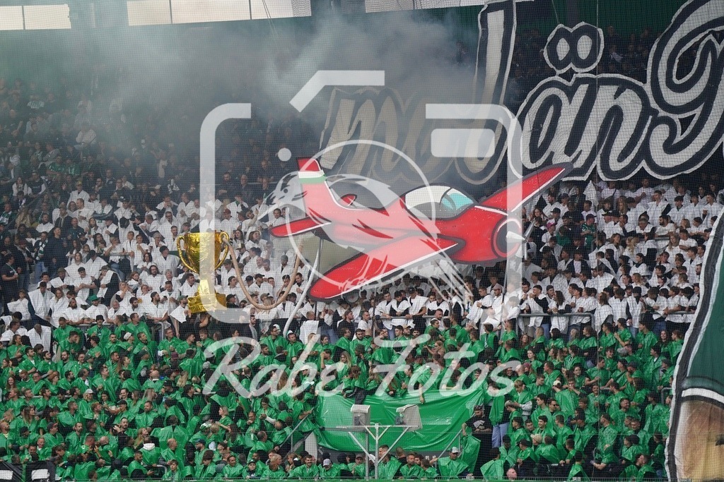 SON08077 | rabefotos