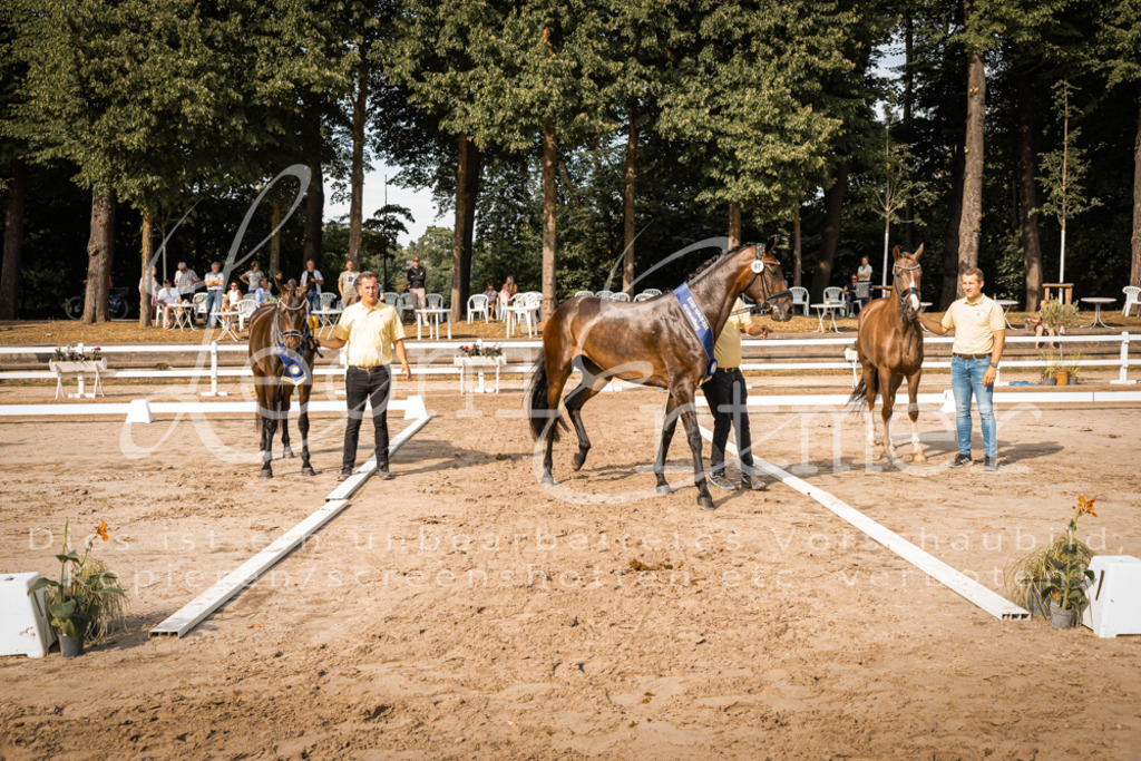 FrER00291 | Leoni Ertmer Photography - Realisiert mit Pictrs.com