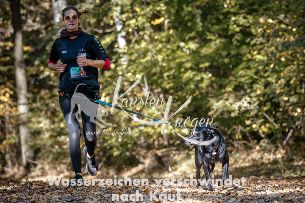 1224_ZZ95054 | kk-dogfotos
