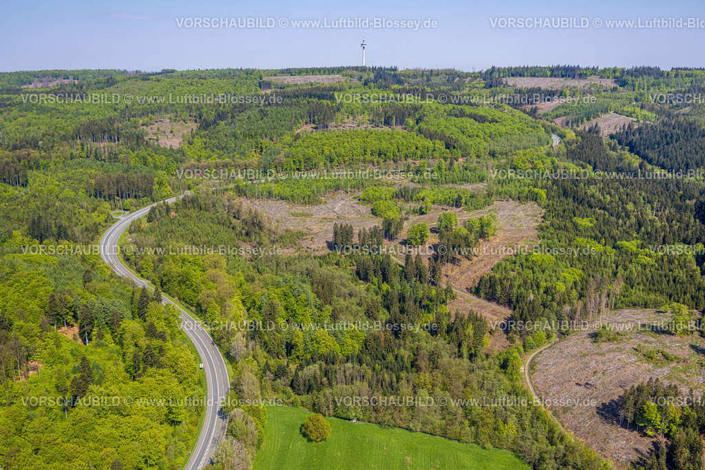 Meschede230500727 | Luftbild, Waldschäden, Serpentinenstraße Bundesstraße B55, Naturschutzgebiet Steinmecke, Meschede-Stadt, Meschede, Sauerland, Nordrhein-Westfalen, Deutschland