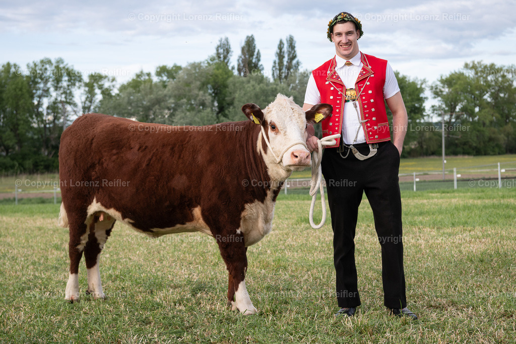 Schwingen -  Thurgauer Kantonales 2024 | Ermatingen, 5.5.24, Schwingen - Thurgauer Kantonales.