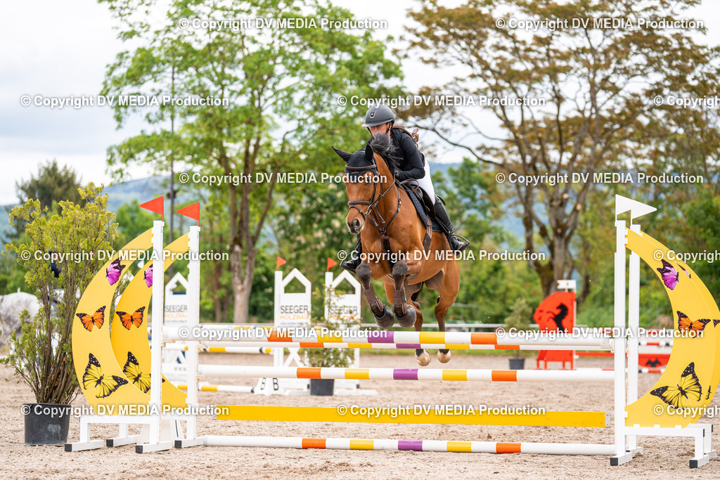 Eppelheim Tag 1-75 | dv-media-shop - Realisiert mit Pictrs.com