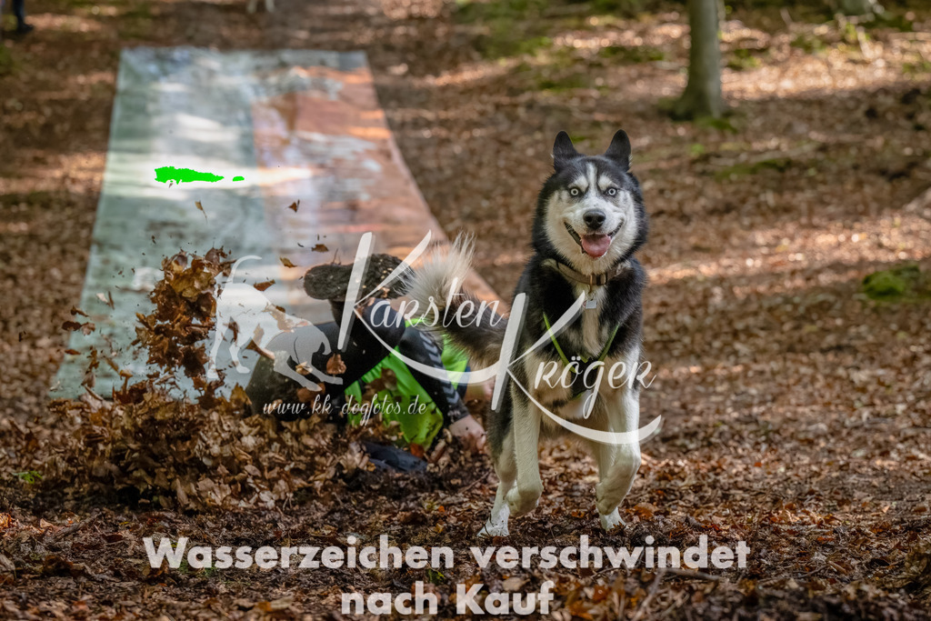 1207_ZZ93187-Bearbeitet | kk-dogfotos