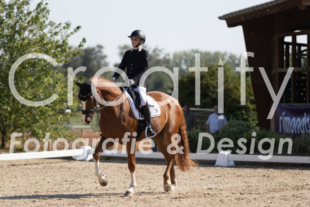 IMG_5569 | Creatify Fotografie