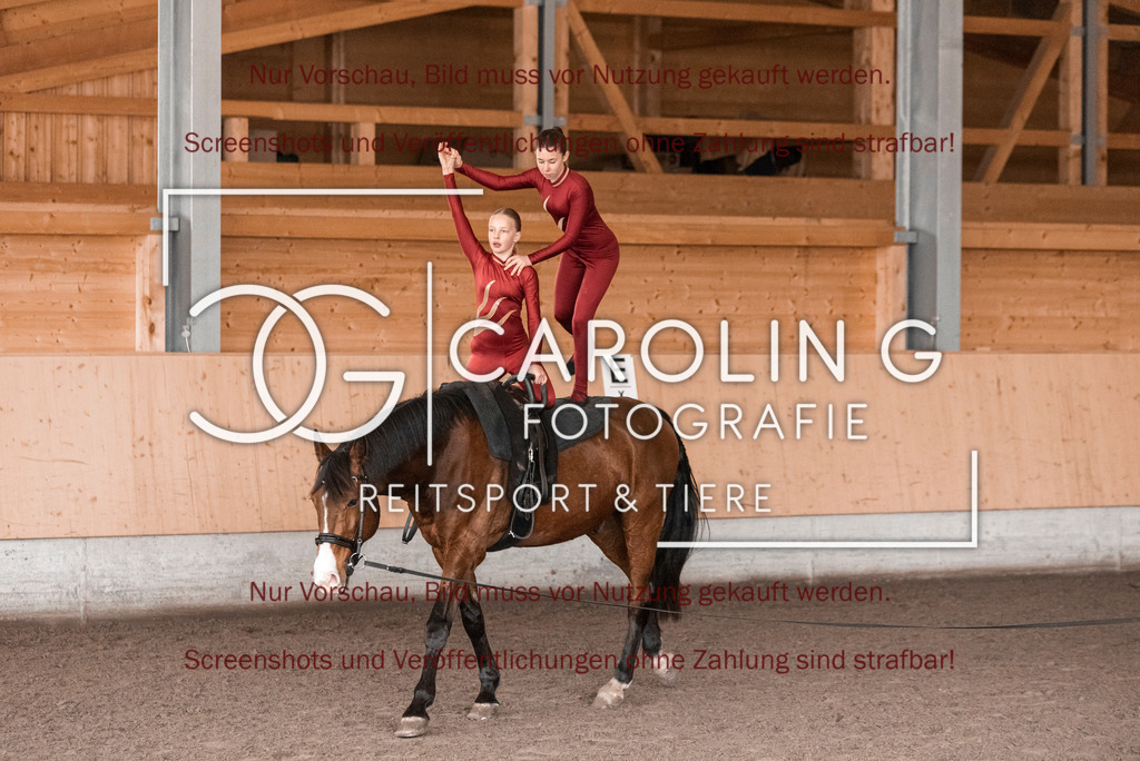 DSC_2086 | Turnierfotografin Carolin Gieschke,Reitsport Turnierfotografie Carolin G Fotografie | Turnierfotos aus Kirchheim/Teck, Esslingen, Stuttgart und dem Bodenseekreis