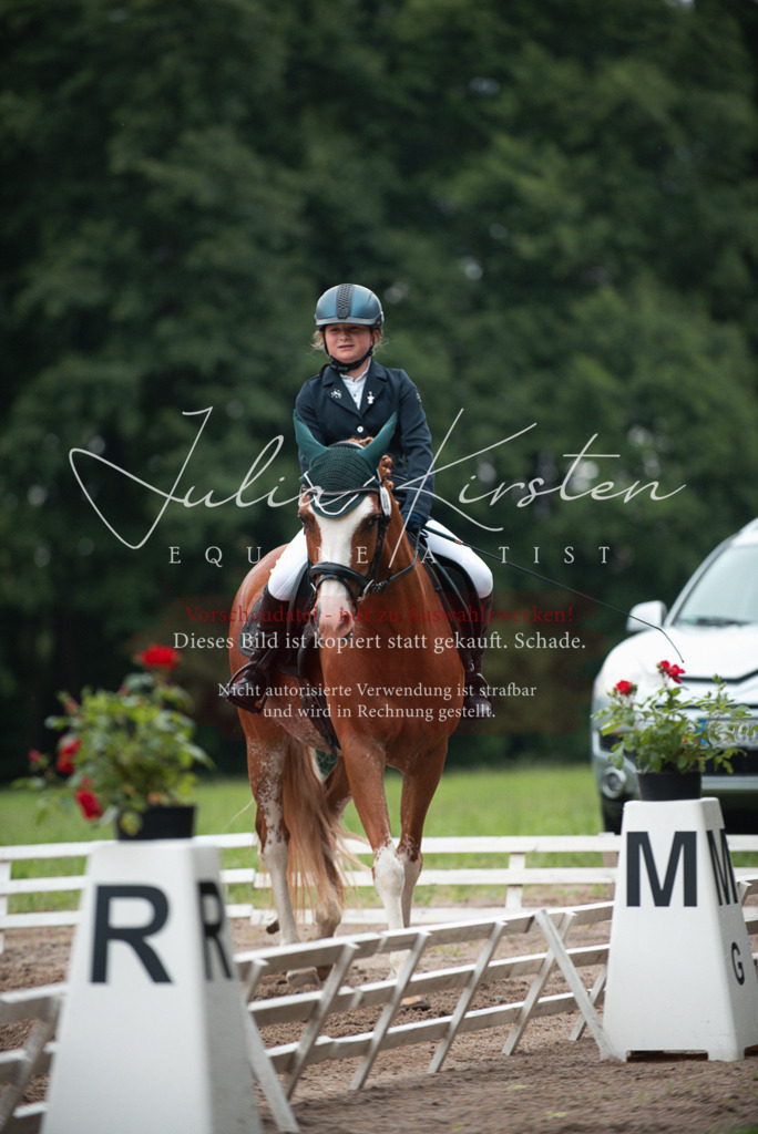 DSC_9645 | Pferde- und Turnierfotografie in Westsachsen. Pferdeportraits, Auftragszeichnungen und intuitive Kunst.