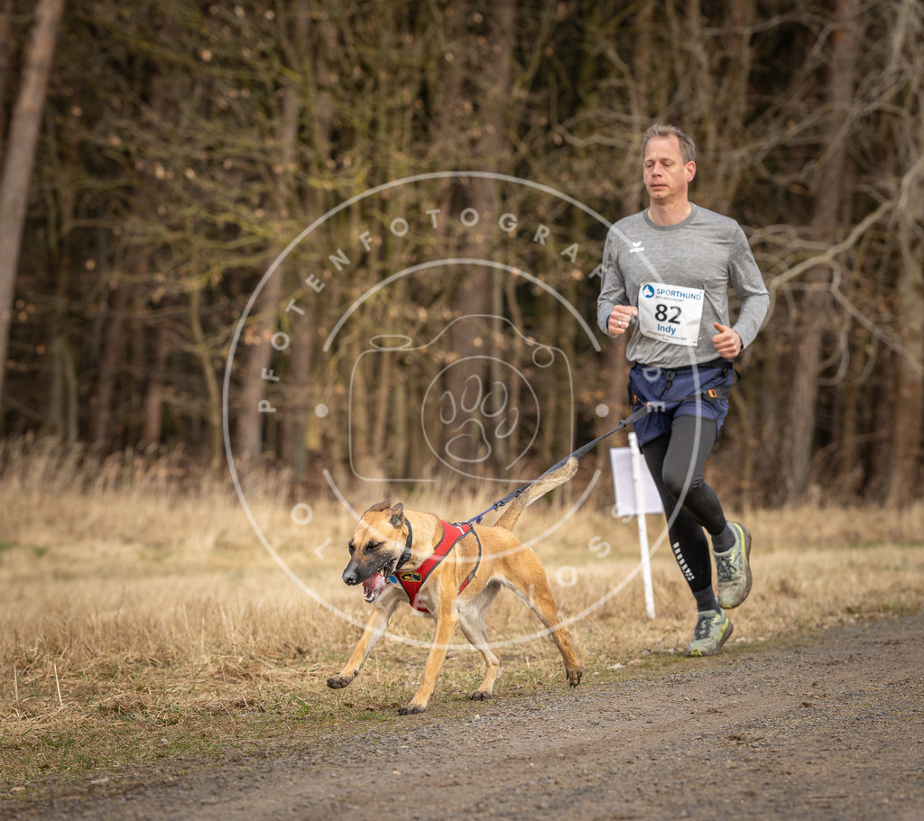 DV3A4128 | Hundefotografie, Tierfotograf, Pfotenfotografie, Fotoshooting Hund, Hunde Portrait, Hundesport, Hundeportraits, Heideshooting, Hunde, Sportfotograf, Hundefotograf, Turnierhundsport, THS,  - Realisiert mit Pictrs.com