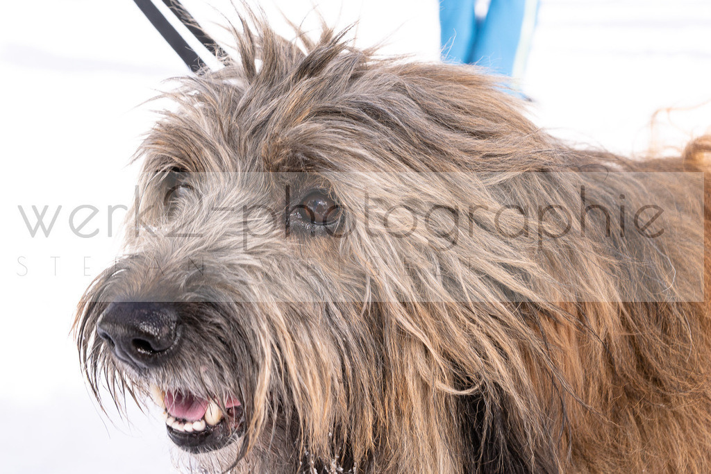 DP Martell | 2. Deutschlandpokal in Martell am 13. - 15. Dezember 2019