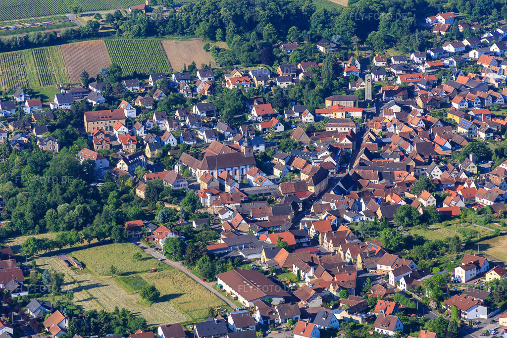 Luftbild: Stiftskirche Klingenmünster in Klingenmünster im Bundesland Rheinland-Pfalz in Deutschland. Foto: IMG_080092.jpg vom 05.06.2015 durch Werner Riehm/FLY-FOTO.dePfarrei Klingenmünster, Bistum Speyer