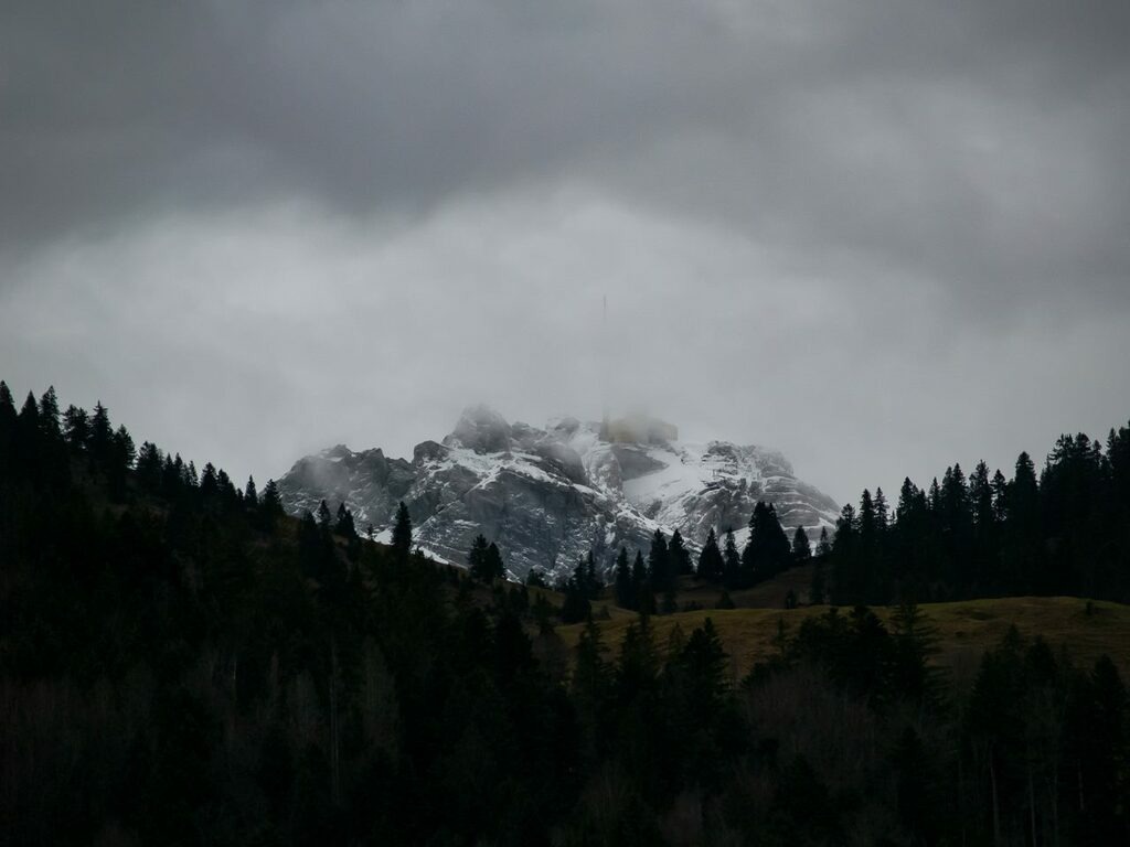 PSX_20230104_230241 | mtkfoto_ - Realisiert mit Pictrs.com