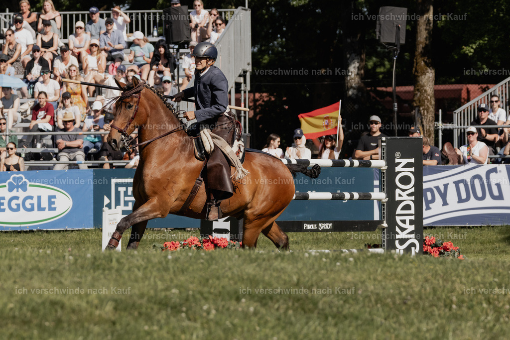 WE_MOS_Stoib_313_PI2025_2250 | Pferd International München 2025