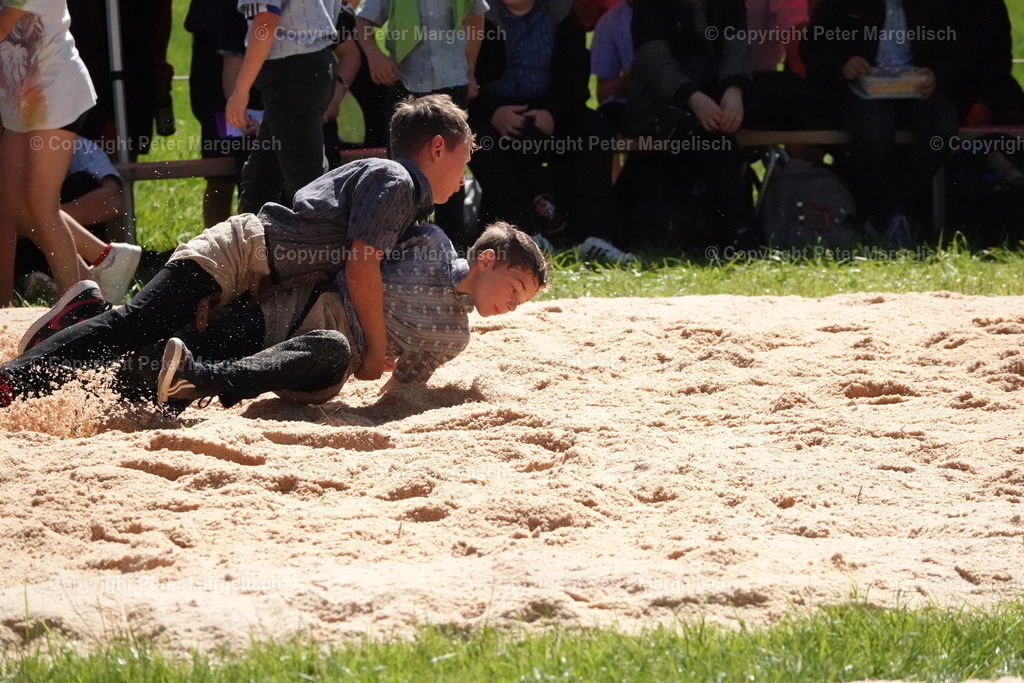 DSC04710 | Schwingen - Realisiert mit Pictrs.com