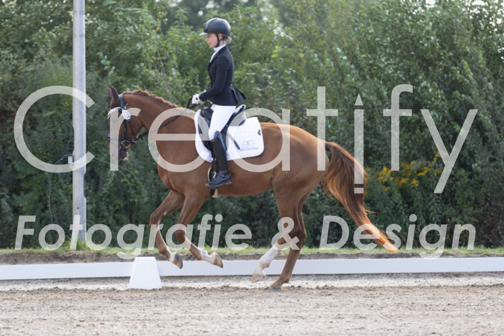 IMG_9899 | Creatify Fotografie