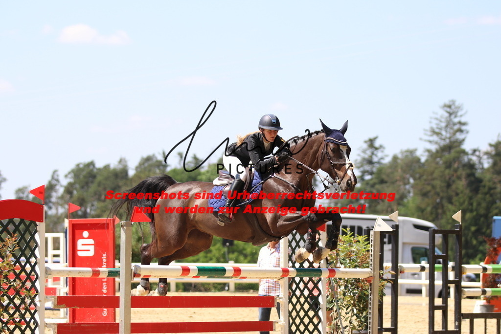 IMG_2540 | lmwpictures - Realisiert mit Pictrs.com