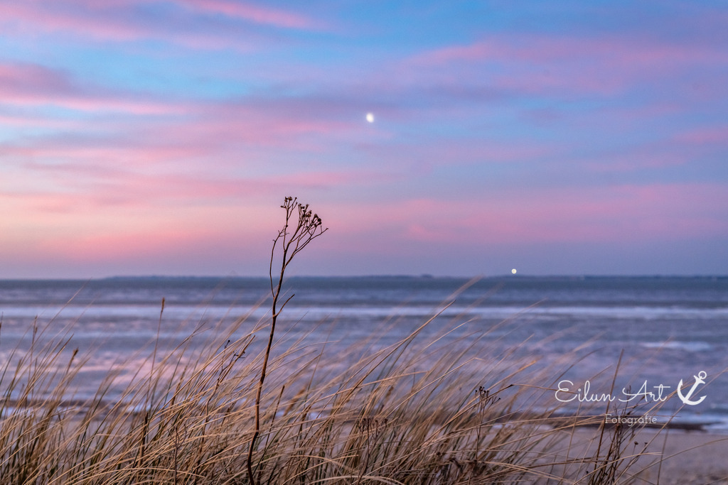 20250220-EAF_7294 | Eilun-Art-Fotografie Levke Martens, ihre Fotografin für Immobilien- und Landschaftsfotografie auf Föhr, Föhrer Motive als Poster, Leinwand, hinter Acrylglas oder stelle dir deinen eigenen Monatskalender zusammen, mit nur einem Klick