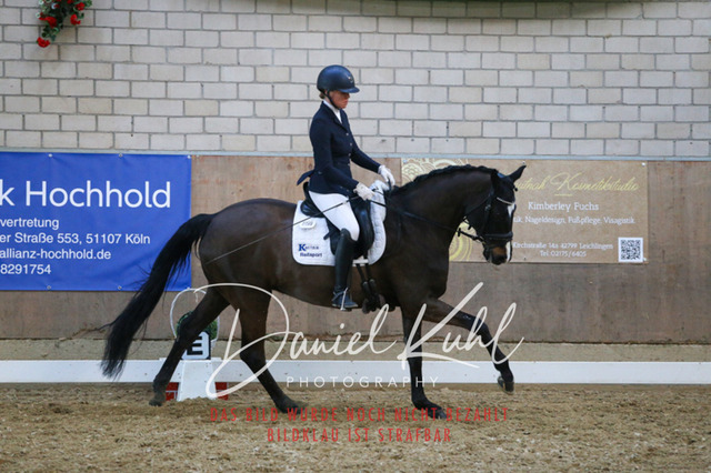 IMG_2682 | Turnierfotos kaufen im Webshop von Daniel Kuhl Photography – entdecke professionelle Reitsportfotos aus Turnieren & Events. Hochwertige Turnierbilder online bestellen & sichern. Jetzt Fotos von Reitsportturnieren kaufen!