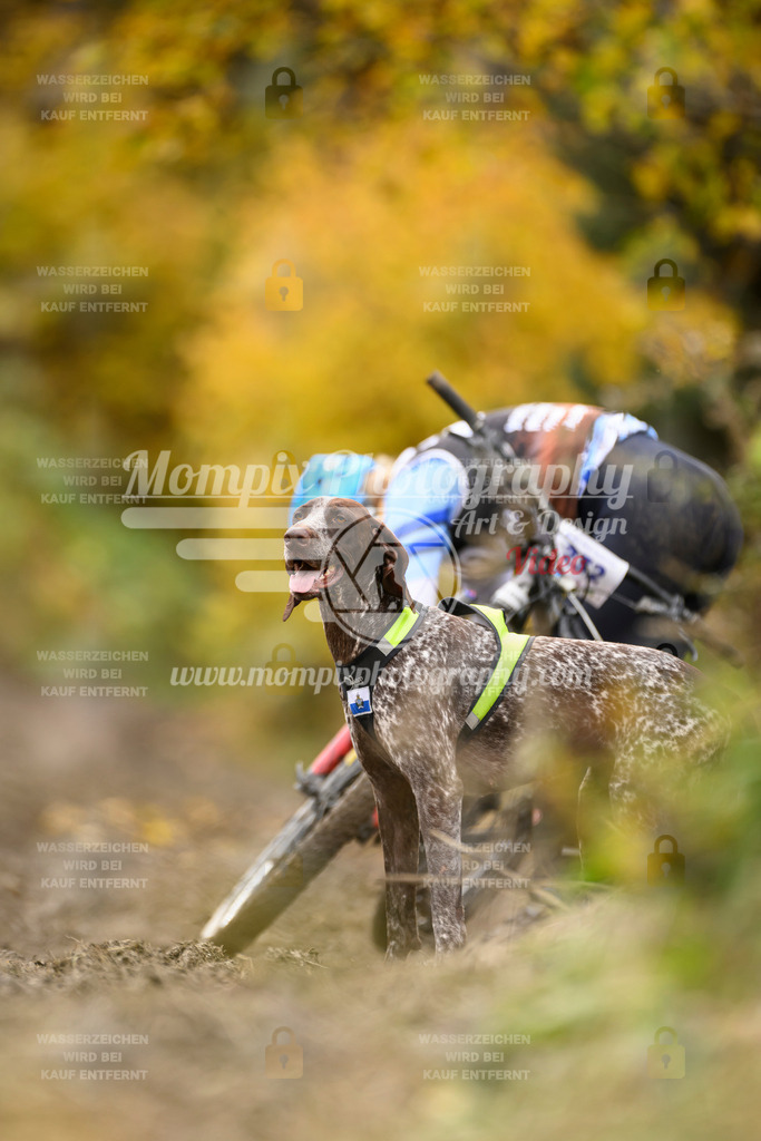 MompixPhotography_ICF_WC_2024_SA_Bike_-398 | PayLife
