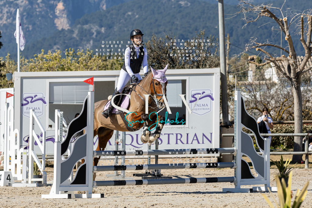 IMG_9568 | s-jay-photography - Realisiert mit Pictrs.com