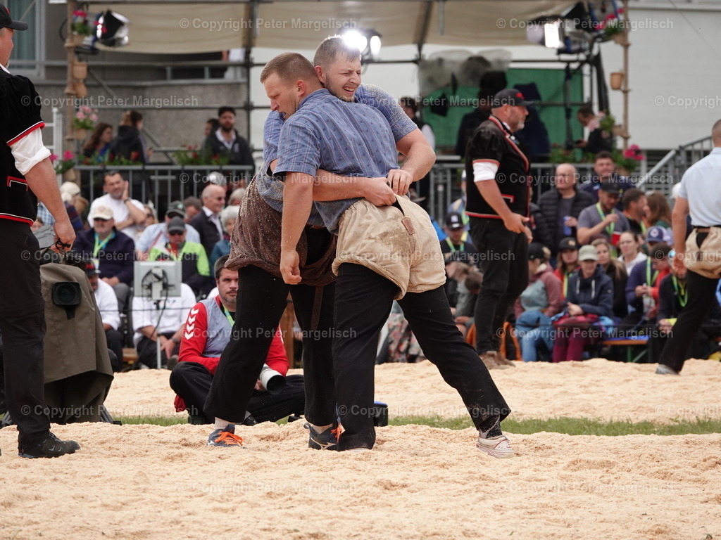 DSC08107 | Schwingen - Realisiert mit Pictrs.com