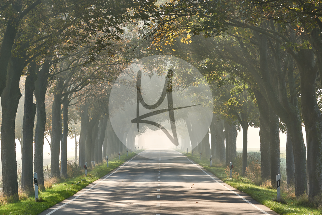 Landschaft im Morgennebel - Nördliches Harzvorland - #nHavo | Meurer Shop - Realisiert mit Pictrs.com