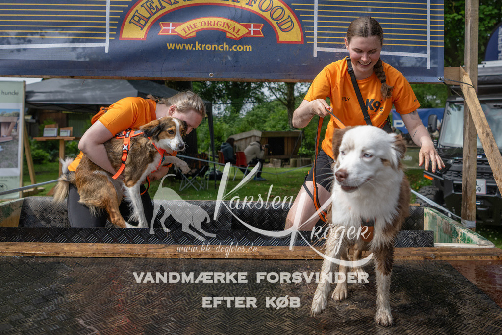 1032_ZZ91252 | kk-dogfotos