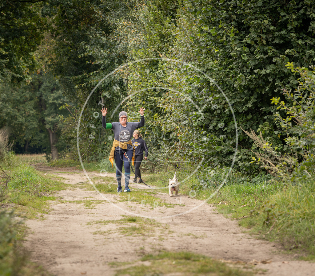 Pfotenfotografie_DV3A8514 | Hundefotografie, Tierfotograf, Pfotenfotografie, Fotoshooting Hund, Hunde Portrait, Hundesport, Hundeportraits, Heideshooting, Hunde, Sportfotograf, Hundefotograf, Turnierhundsport, THS,  - Realisiert mit Pictrs.com