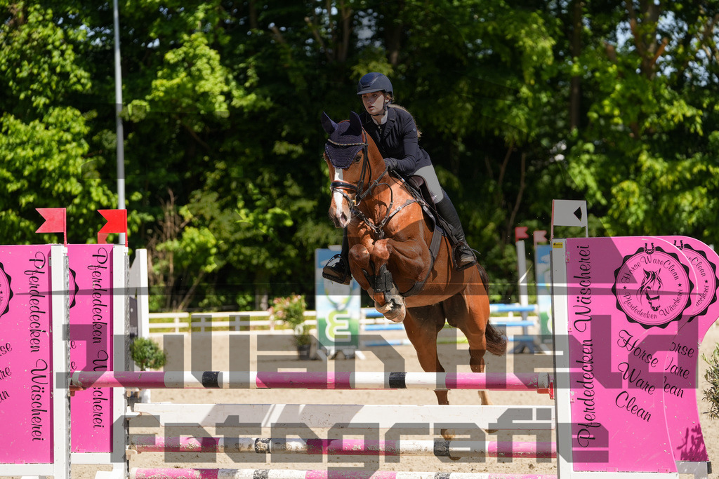 DSC02228 | Julian Held Fotografie - Realisiert mit Pictrs.com