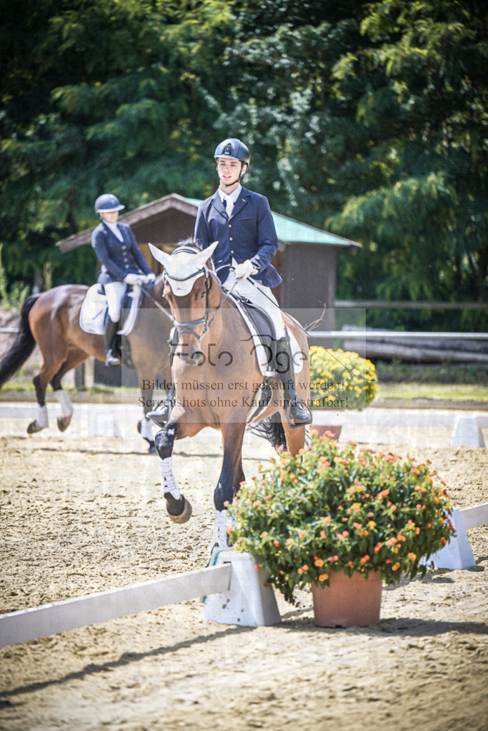 DOS_3601 | Entdecke hochwertige Reitturnierfotos von Foto Oger. Professionell, emotional und authentisch – jetzt Lieblingsmomente im Shop bestellen.Deutschlandweite Turnierfotografie. - Realisiert mit Pictrs.com