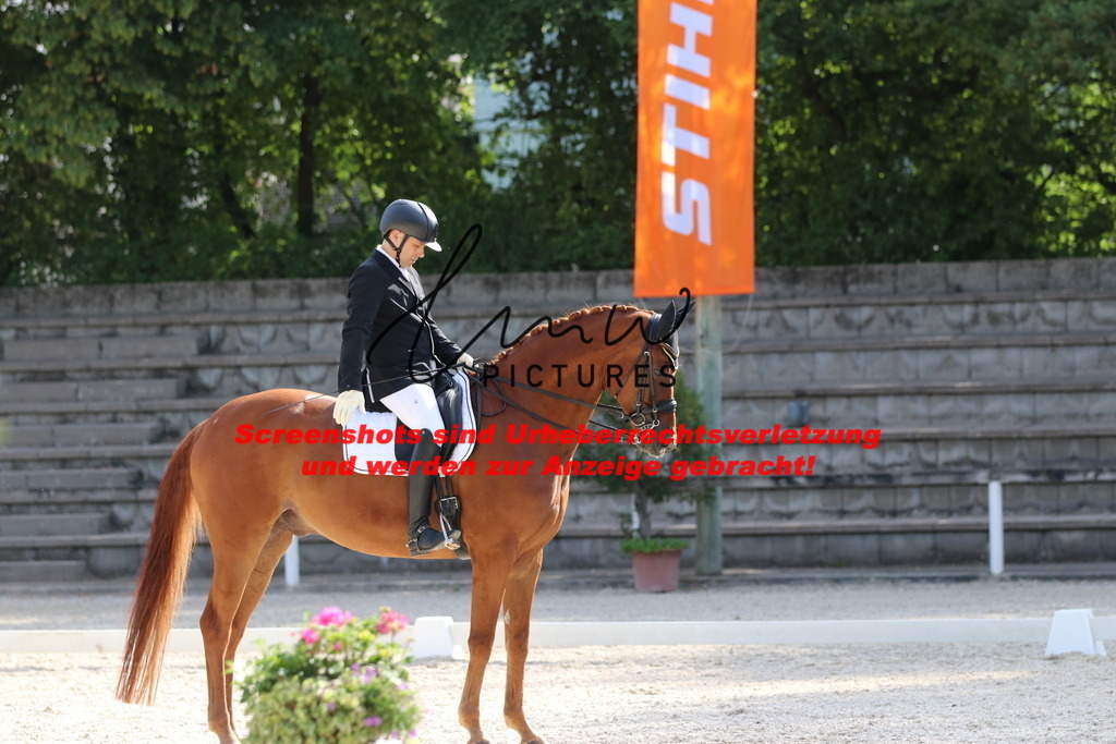 IMG_5745 | lmwpictures - Realisiert mit Pictrs.com