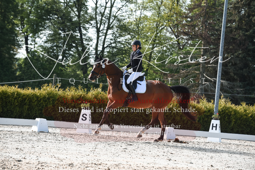 20230518_JK-Röhrsdorf-09-0887 | Pferde- und Turnierfotografie in Westsachsen. Pferdeportraits, Auftragszeichnungen und intuitive Kunst.