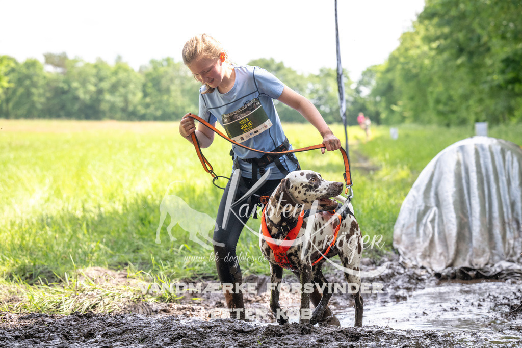 1228_ZZ92495 | kk-dogfotos