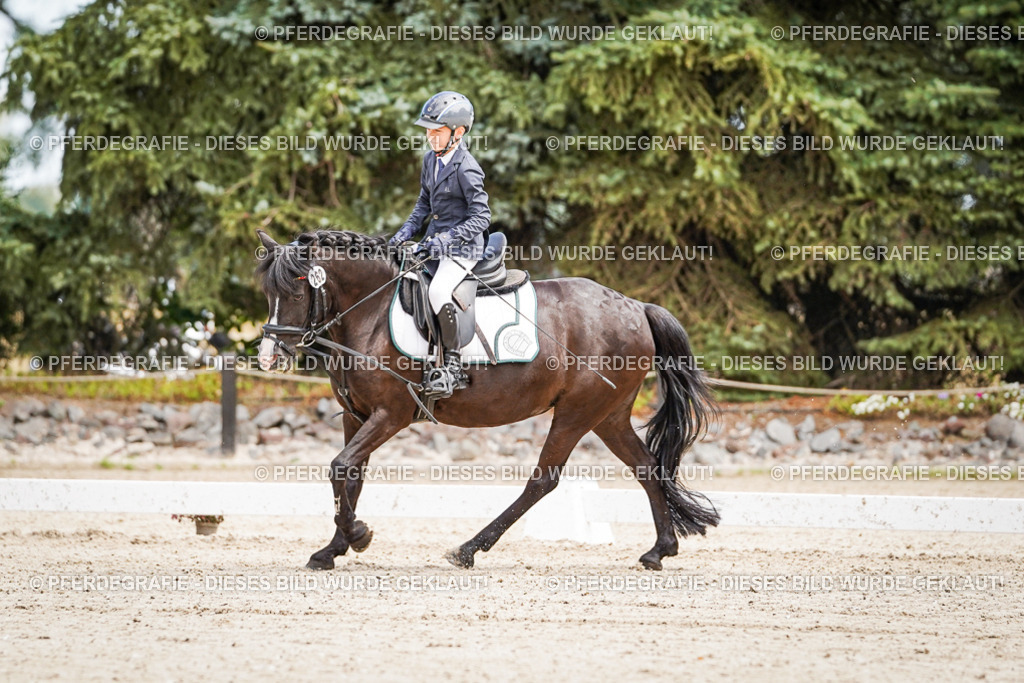 DSC02781 | Pferdegrafie