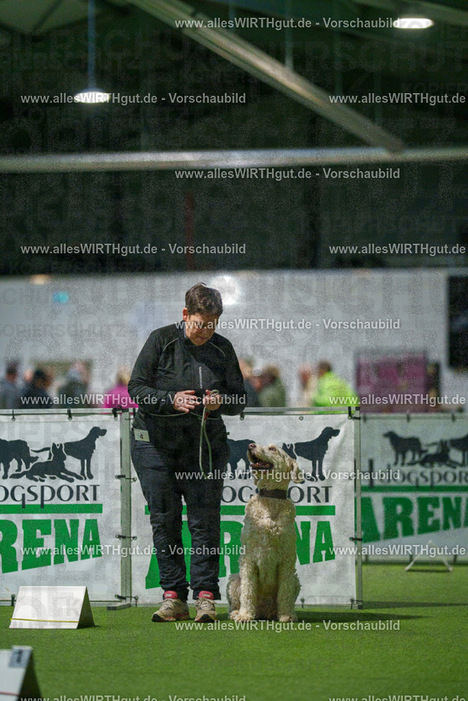 7R504256 | Professionelle Tierfotografie in Mönchengladbach von Daniel Wirth (allesWIRTHgut). Liebevolle & natürliche Bilder von Hunden & Katzen für unvergessliche Erinnerungen.