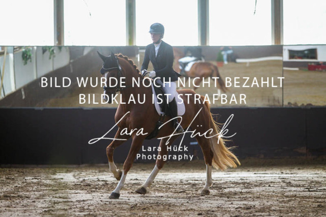 DKP45851 | larahueckfotografie