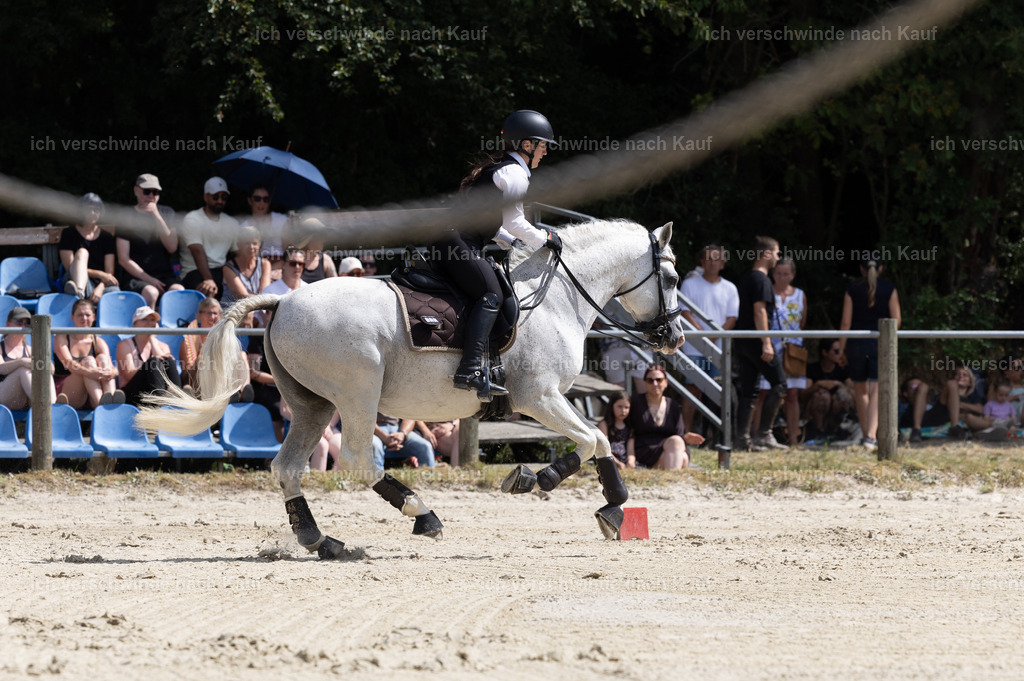 WM_YR_Speed_133_KerstinBernhardt-16 | working equitationturnier fotograf videograf stoibphotography marixx film working equitation deutschland reitsport turnierfotografie eventfotografie equestrian events