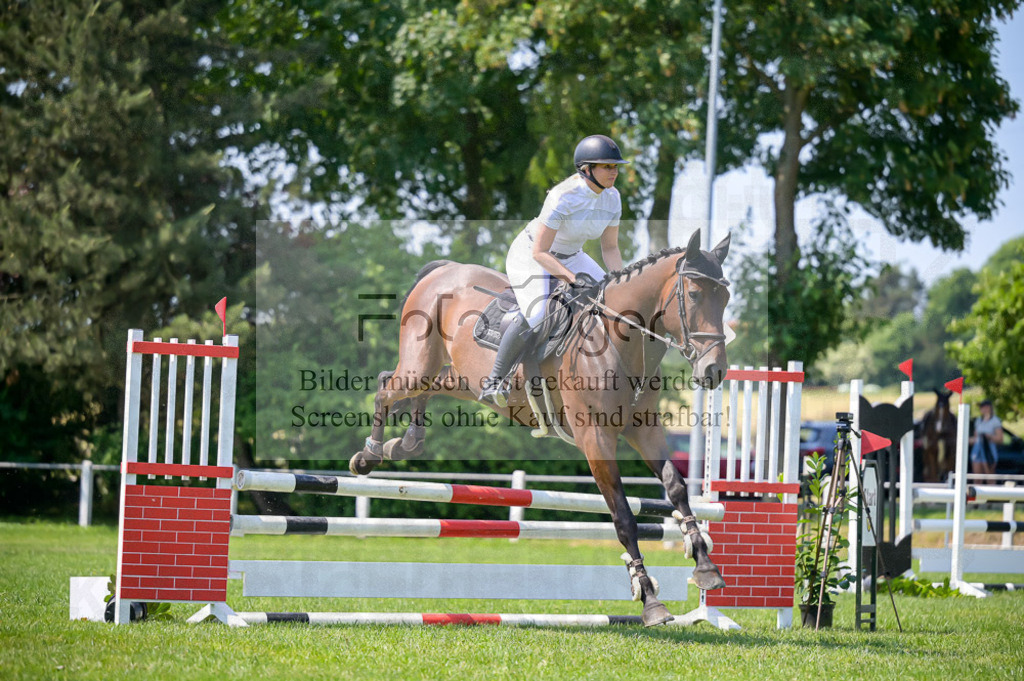 Reitturnier Voxtrup | Entdecke hochwertige Reitturnierfotos von Foto Oger. Professionell, emotional und authentisch – jetzt Lieblingsmomente im Shop bestellen.Deutschlandweite Turnierfotografie. - Realisiert mit Pictrs.com
