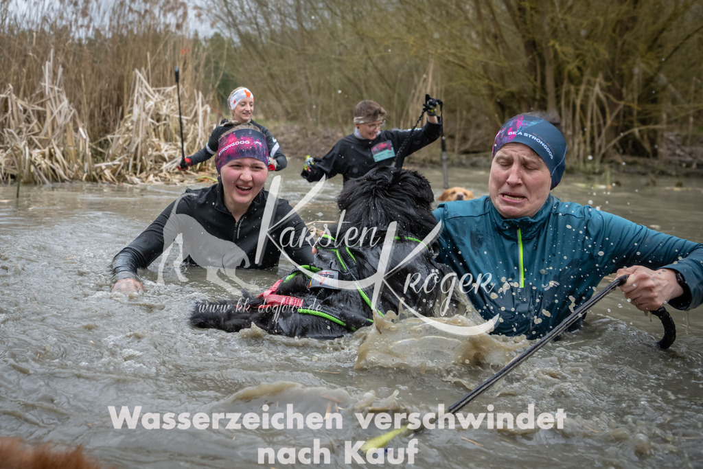 1404_ZZ96093 | kk-dogfotos