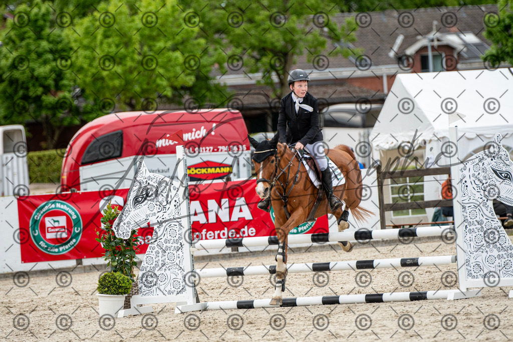 KPT_7328 | andre_photographic