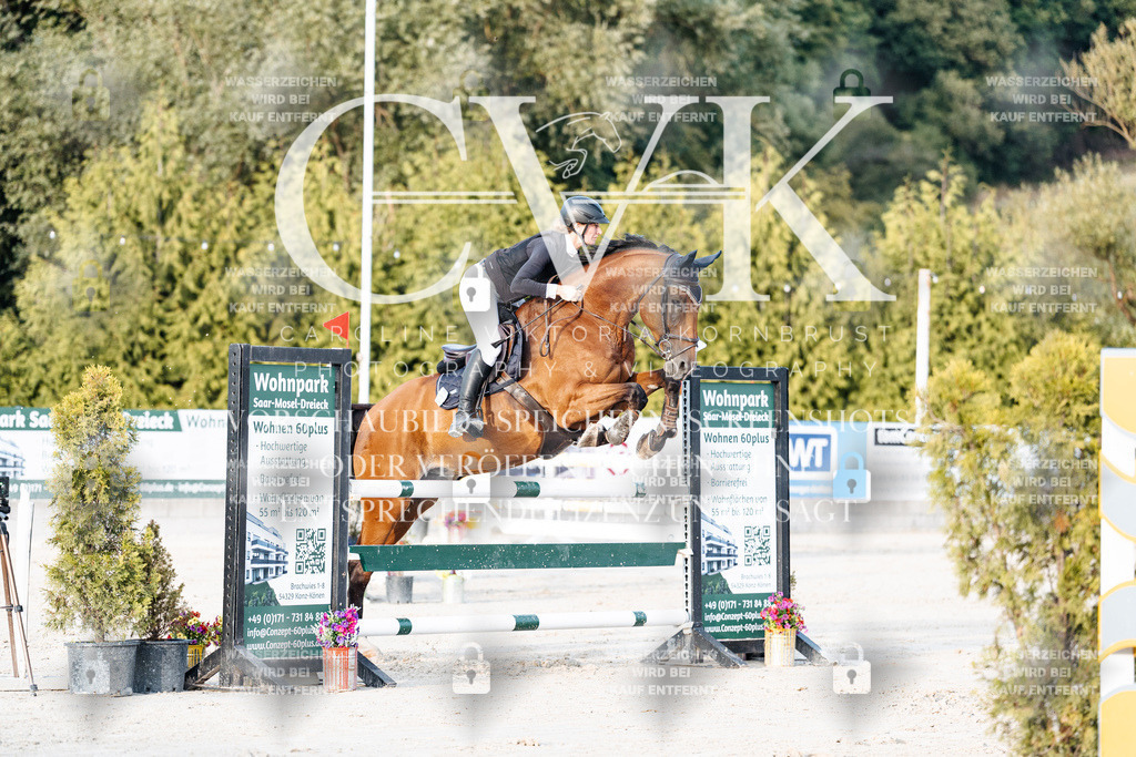 CK900900 | Turnierfotografie Pferdefotografie Trier Rheinland-Pfalz Pferdesport Reitsport Tierfotografie Sportfotografie Pferdevideo Pferdevideografie Equestrianvideography equestrianphotography  - Realisiert mit Pictrs.com