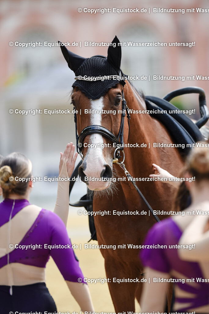 20250608_CVI-Masterclass_1123 | Foto: Thomas Hartig