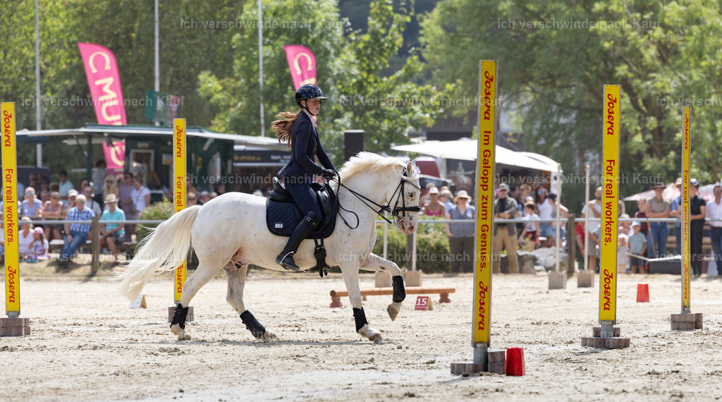 WM_Speed_YR_101_KerstinBernhardt-2 | working equitationturnier fotograf videograf stoibphotography marixx film working equitation deutschland reitsport turnierfotografie eventfotografie equestrian events