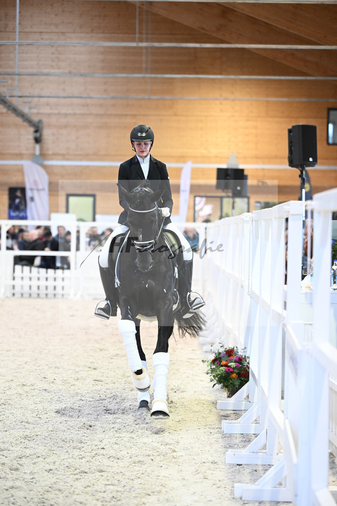 Haffruf_7240782 | hf-fotografie - Realisiert mit Pictrs.com