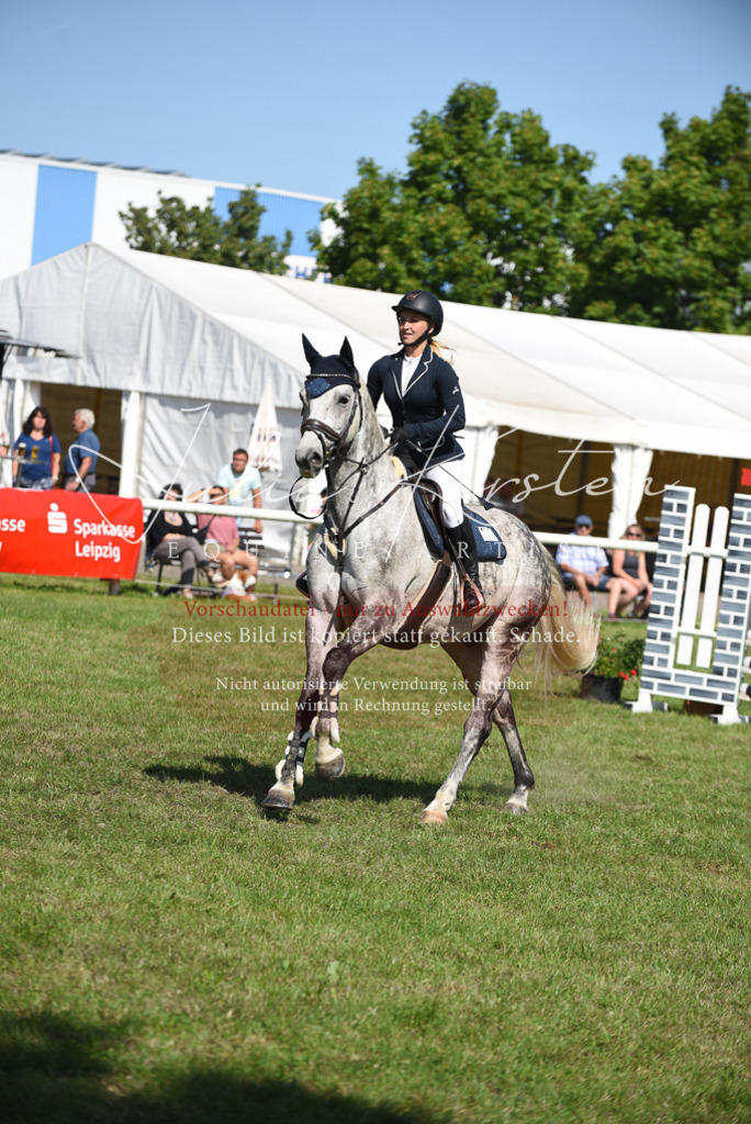 DSC_9132 | Pferde- und Turnierfotografie in Westsachsen. Pferdeportraits, Auftragszeichnungen und intuitive Kunst.