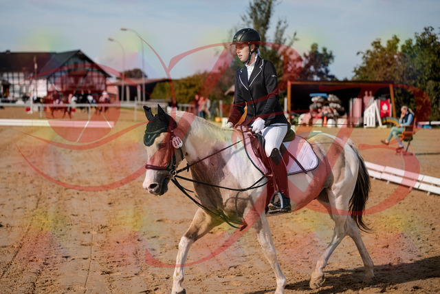 2026_10_03_Siefer-Hof_114716_Z63_25694825 | Professionelle Reitsport-, Turnier- und Eventfotografie von Robert Broda. Galerien mit ausgewählten und bearbeiteten Bildern direkt online ansehen und bestellen.