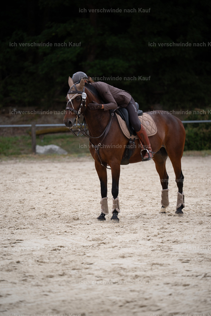 WL_ST_74_stoibphotography__SO10957 | working equitationturnier fotograf videograf stoibphotography marixx film working equitation deutschland reitsport turnierfotografie eventfotografie equestrian events