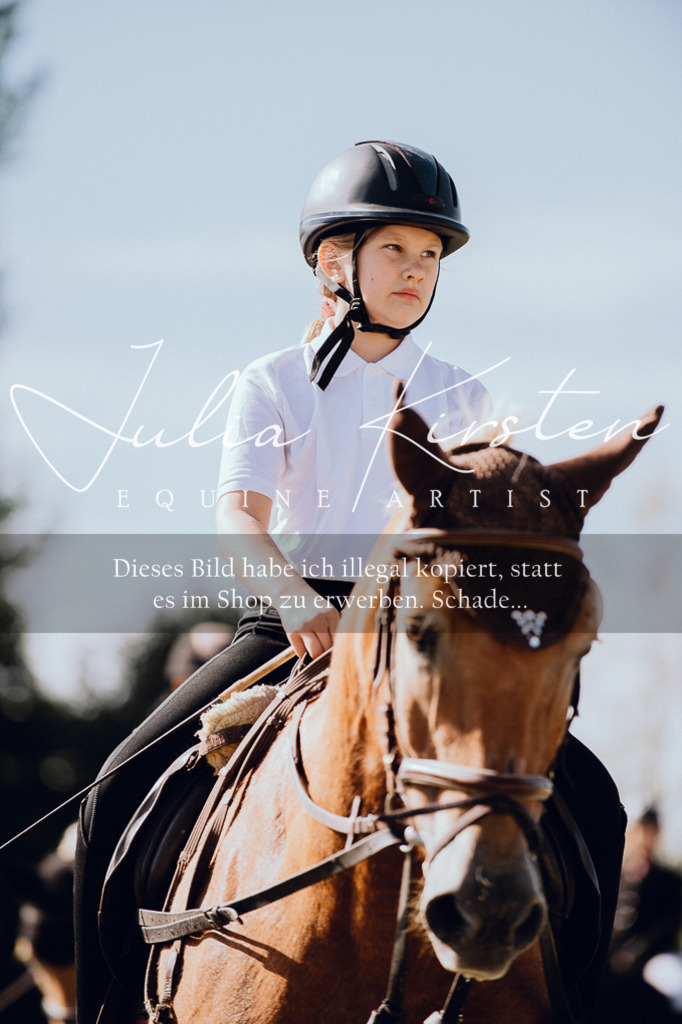 DSC_6875 | Pferde- und Turnierfotografie in Westsachsen. Pferdeportraits, Auftragszeichnungen und intuitive Kunst.