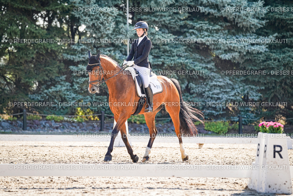 DSC09718 | Pferdegrafie