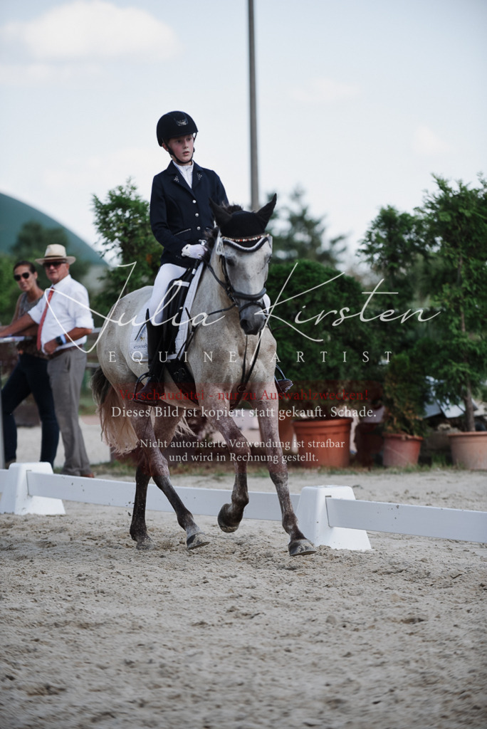 DSC_9959 | Pferde- und Turnierfotografie in Westsachsen. Pferdeportraits, Auftragszeichnungen und intuitive Kunst.