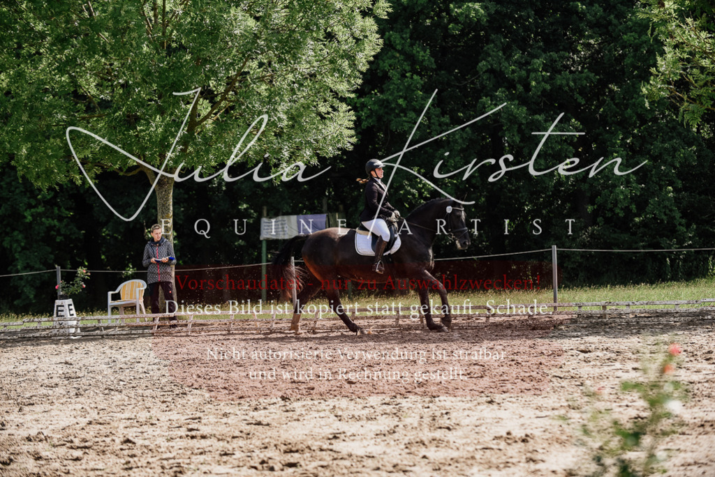 DSC_0240 | Pferde- und Turnierfotografie in Westsachsen. Pferdeportraits, Auftragszeichnungen und intuitive Kunst.