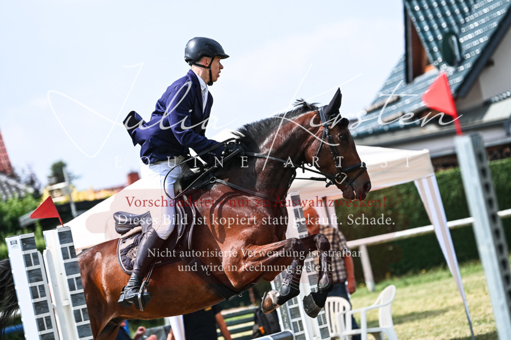 DSC_8958 | Pferde- und Turnierfotografie in Westsachsen. Pferdeportraits, Auftragszeichnungen und intuitive Kunst.